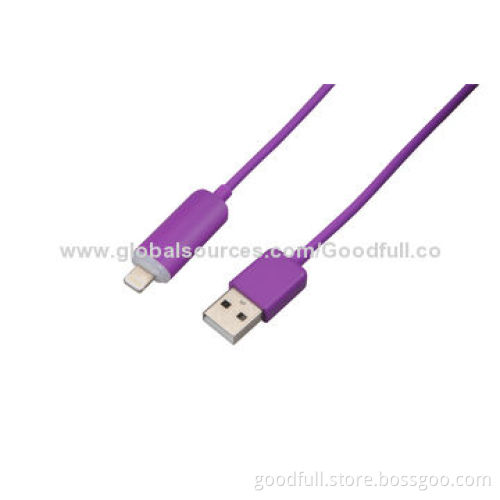 USB AM to I5 Data Cable 100cm